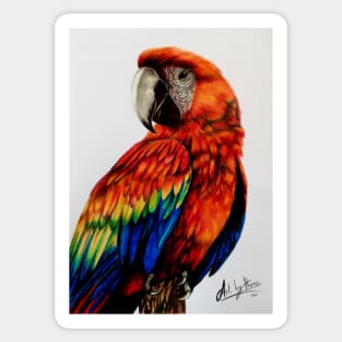 Red Parrot Sticker